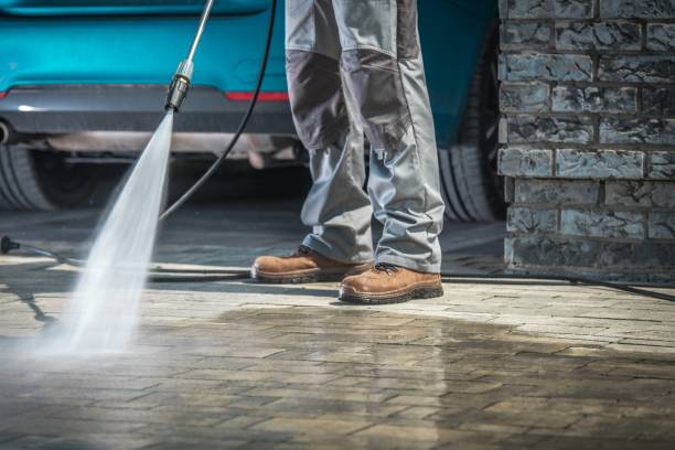 Best Driveway Pressure Washing  in Hidalgo, TX