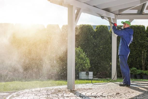 Best House Exterior Washing  in Hidalgo, TX