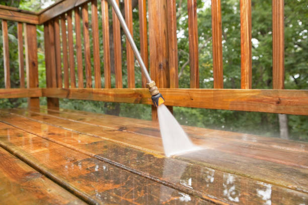 Professional Pressure Washing Services in Hidalgo, TX